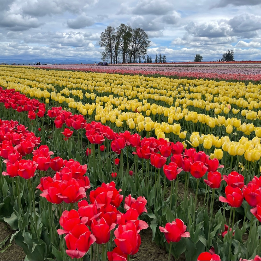 Meet your Posher, Raul